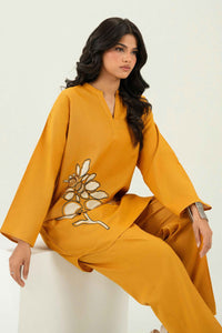 Alevique Golden Motif - 2 Piece Embroidered Suit